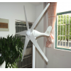 方永新能源 300W大功率小型家用风力发电机